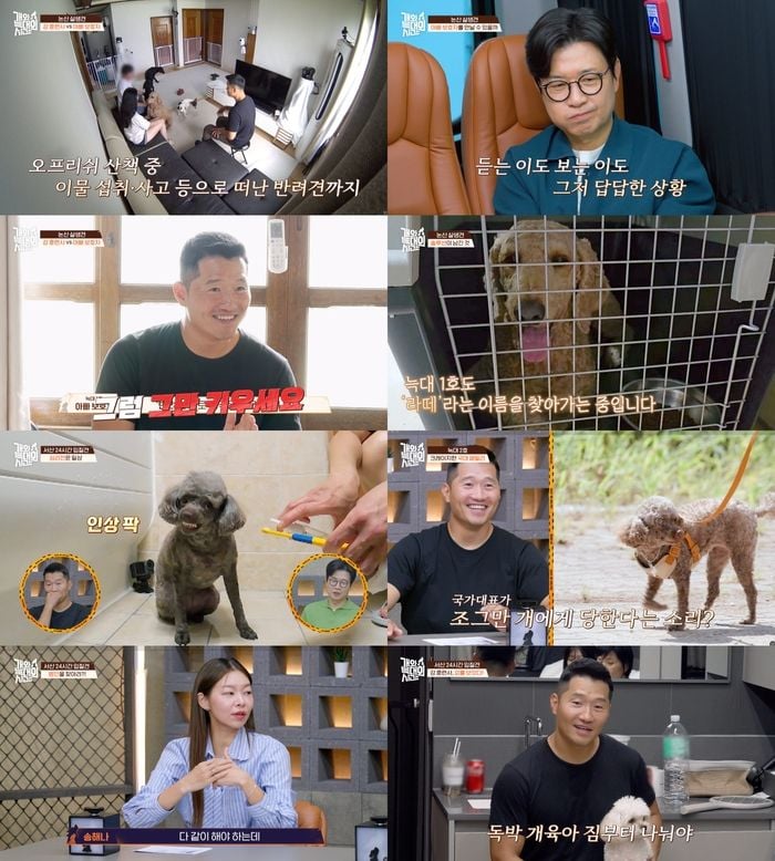 출처=채널A '개와 늑대의 시간'
