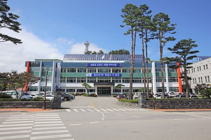 출처=양양군청