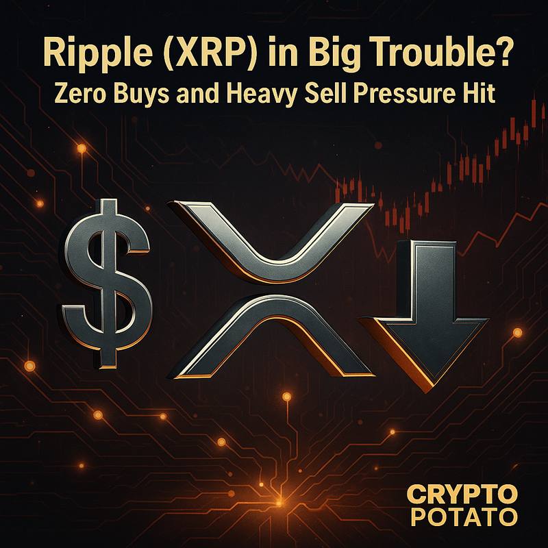 리플 XRP, 매수 전무·매도 급증…ETF 불확실성에 흔들려