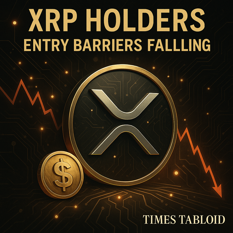 리플 XRP 상위 보유자 진입 장벽 하락…투자자 유입 확대