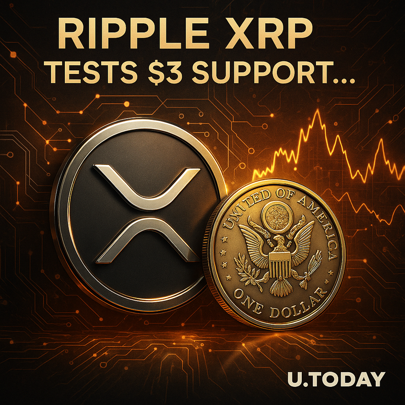 리플 XRP, 3달러 지지선 시험대…비트코인 자금 이동에 단기 불안