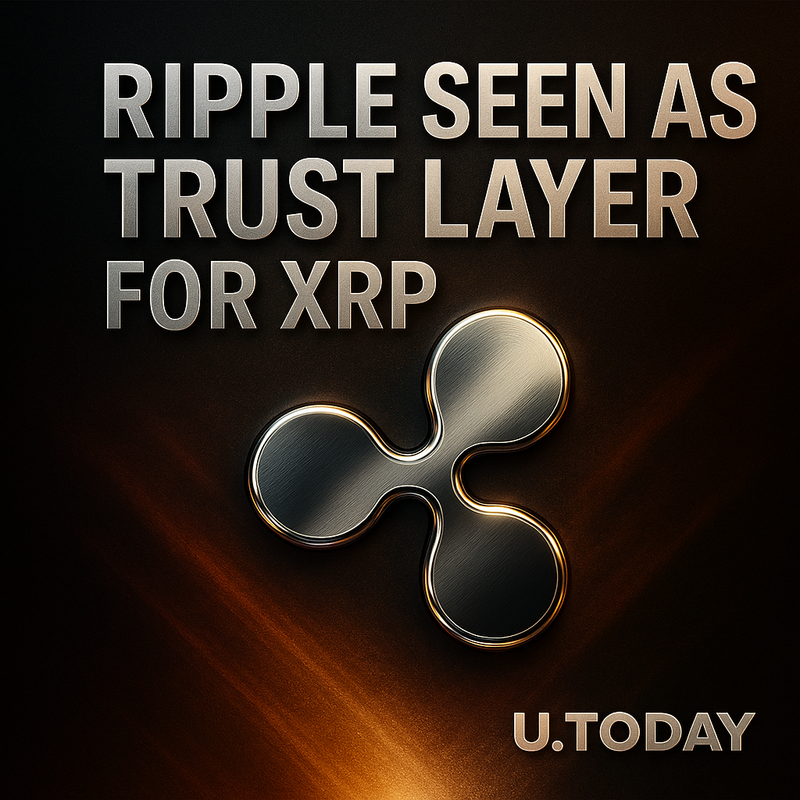 리플, 신탁은행 설립 추진…XRP는 ‘은행’, 리플은 ‘신뢰’로 역할 분담
