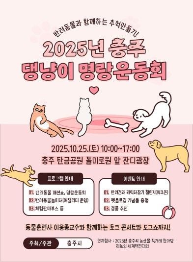 반려동물과 함께한 하루의 밝은 기억→충주 댕냥이 명랑운동회, 웃음과 소통의 서사