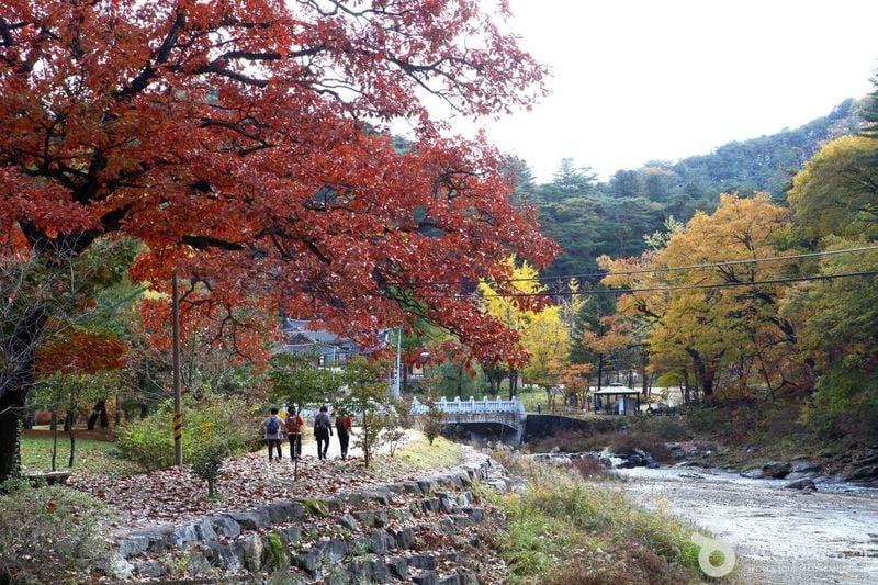 사진 = 포토코리아(한국관광공사) 홍천