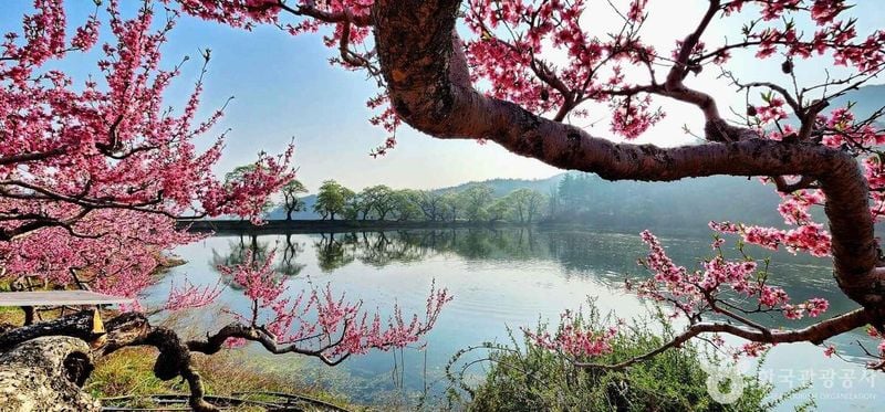 사진 = 포토코리아(한국관광공사) 경산