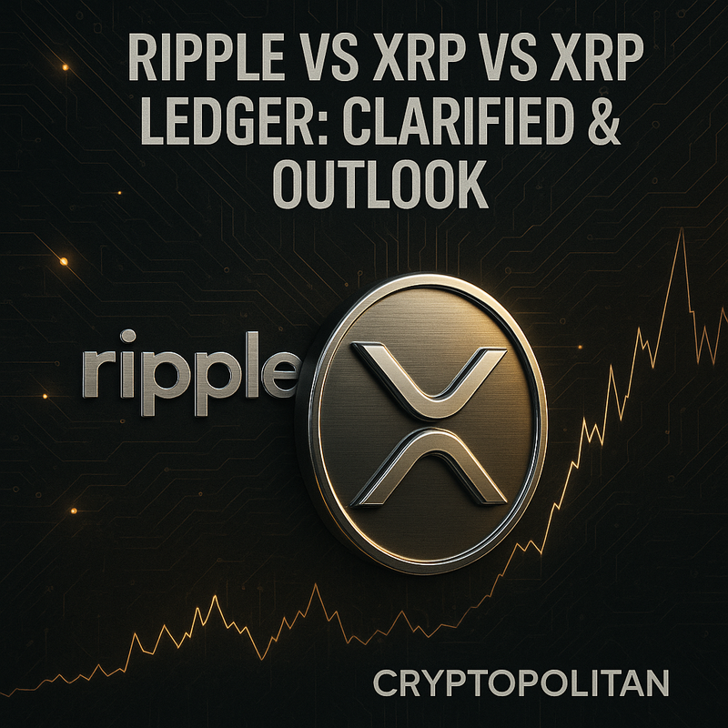 리플 XRP·XRP 레저 구분 재정립…규제·도입 전망