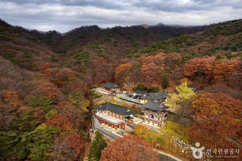 사진 = 포토코리아(한국관광공사) 팔공산