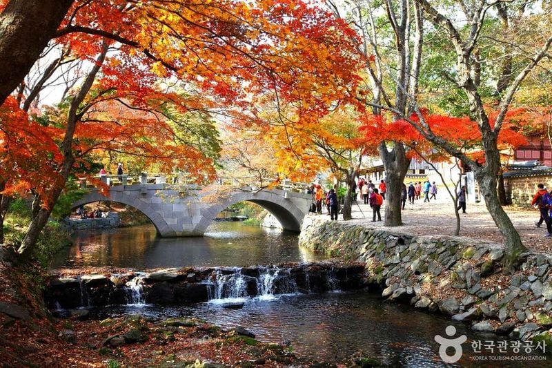 사진 = 포토코리아(한국관광공사) 선운사