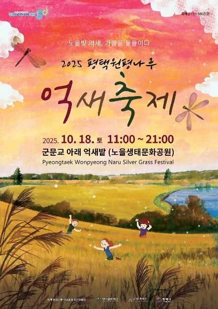 억새밭 노을과 흥겨운 놀이부터 지역 먹거리까지…‘평택 원평나루 억새축제’ 경기도 평택시에서 열린다