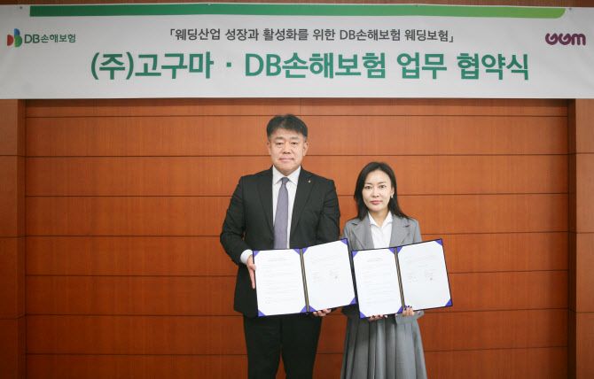 출처=DB손해보험