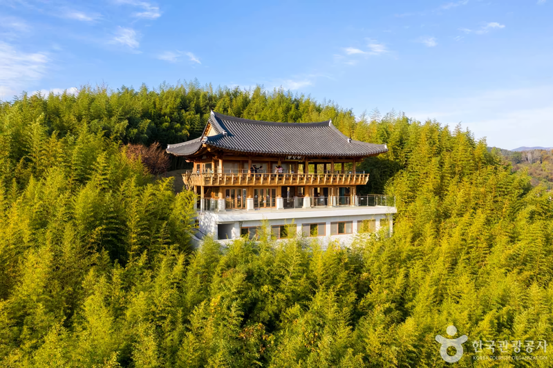 출처 : 한국관광공사 포토코리아(죽녹원)