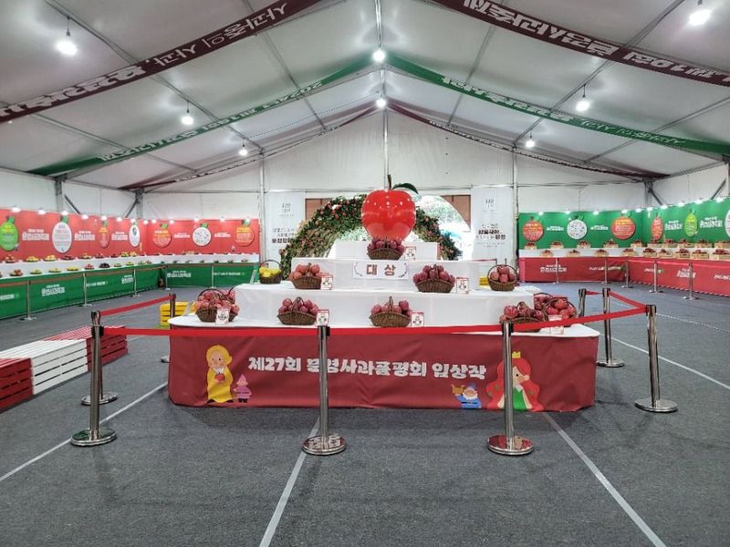 사과농장 체험부터 축하공연까지…‘문경사과축제’ 경상북도 문경에서 열린다