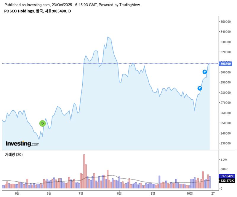 포스코홀딩스 / 인베스팅닷컴
