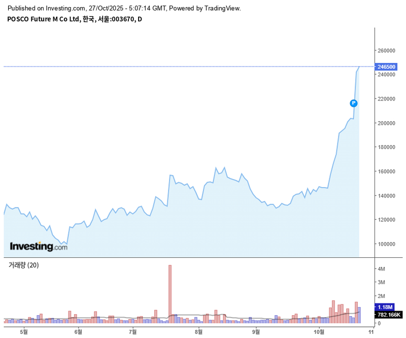 포스코퓨처엠 / 인베스팅닷컴