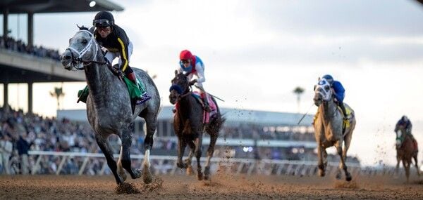 출처=한국마사회