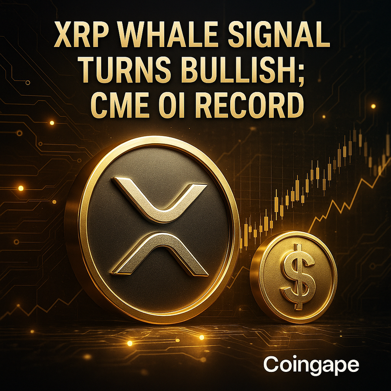 리플 XRP, 고래지표 반전…랠리 전망과 OI 최고