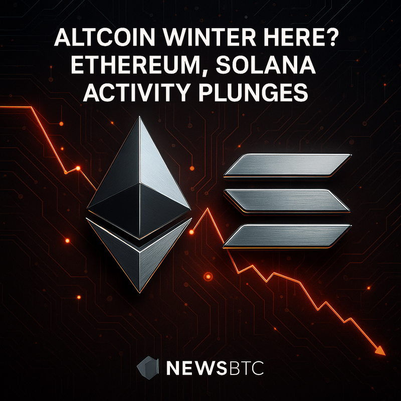 알트코인 겨울 신호…이더리움·솔라나 활동 급감 분석