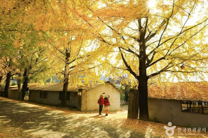 출처 : 한국관광공사 포토코리아(의동마을)