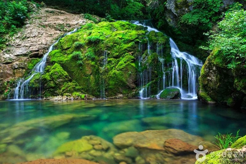 출처 : 한국관광공사 포토코리아(삼척 무건리 이끼폭포)