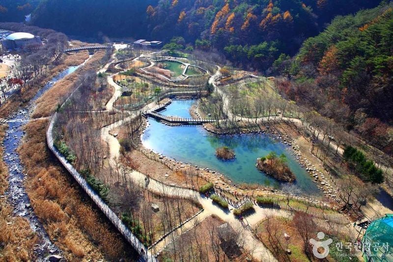출처 : 한국관광공사 포토코리아(문경새재)