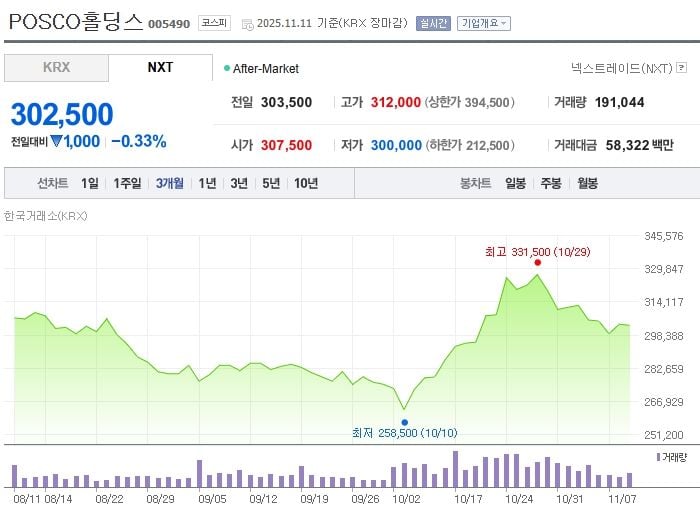 POSCO홀딩스 / 네이버증권