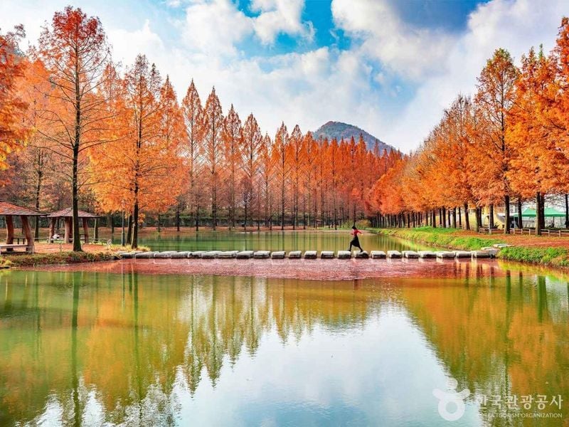 칠갑산 출처 : 한국관광공사 포토코리아