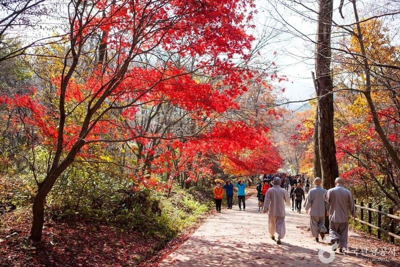 해인사 출처 : 한국관광공사 포토코리아