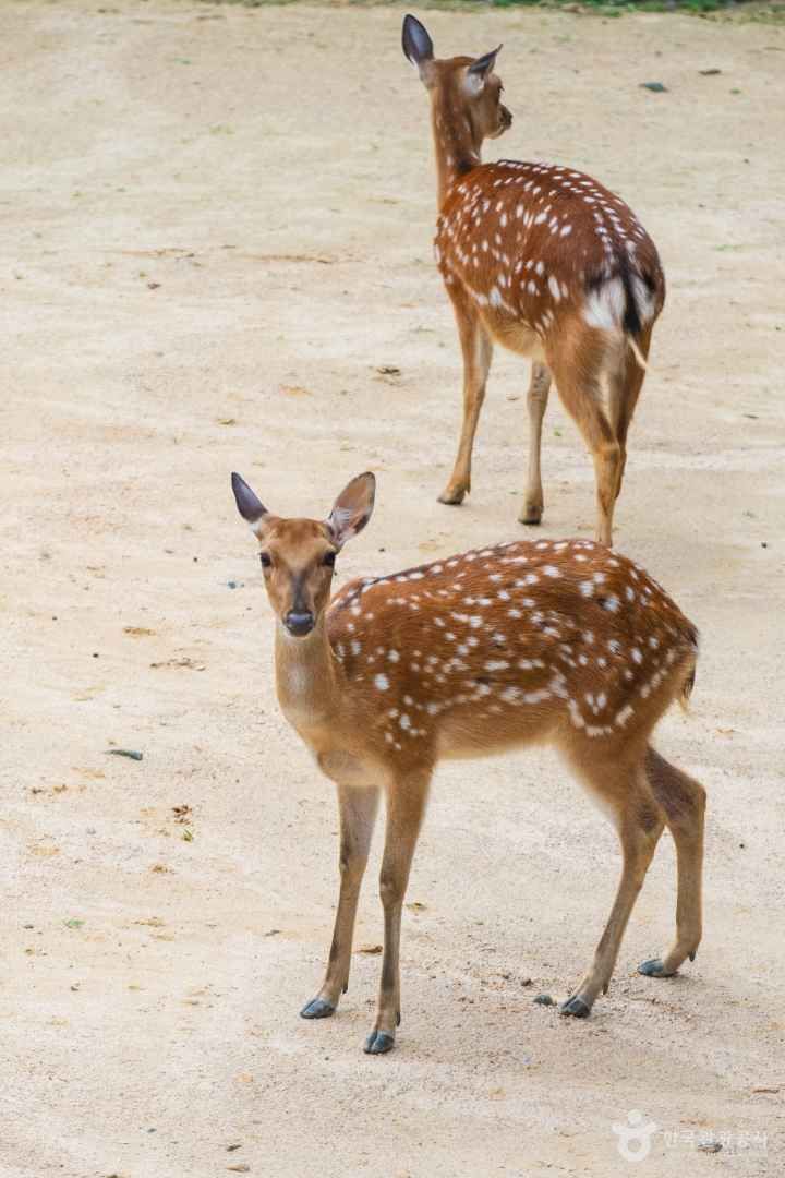 서울숲 출처 : 한국관광공사 포토코리아
