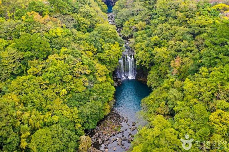 천제연폭포 출처 : 한국관광공사 포토코리아