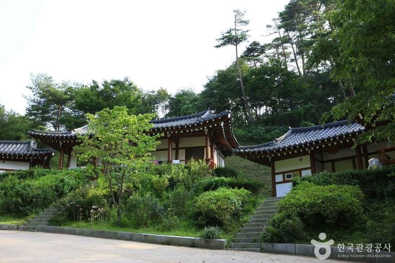 안면도  출처 : 한국관광공사 포토코리아