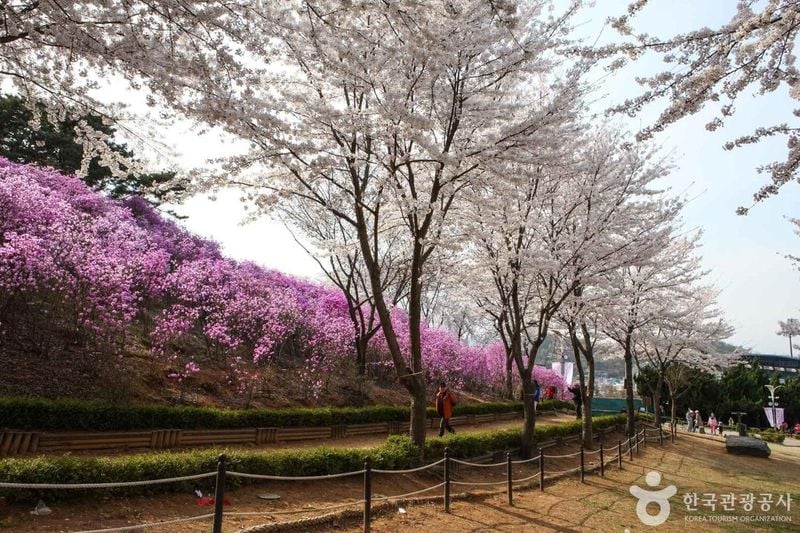 원미공원 출처 : 한국관광공사 포토코리아