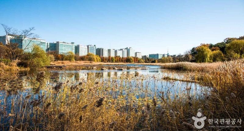 일산 출처 : 한국관광공사 포토코리아