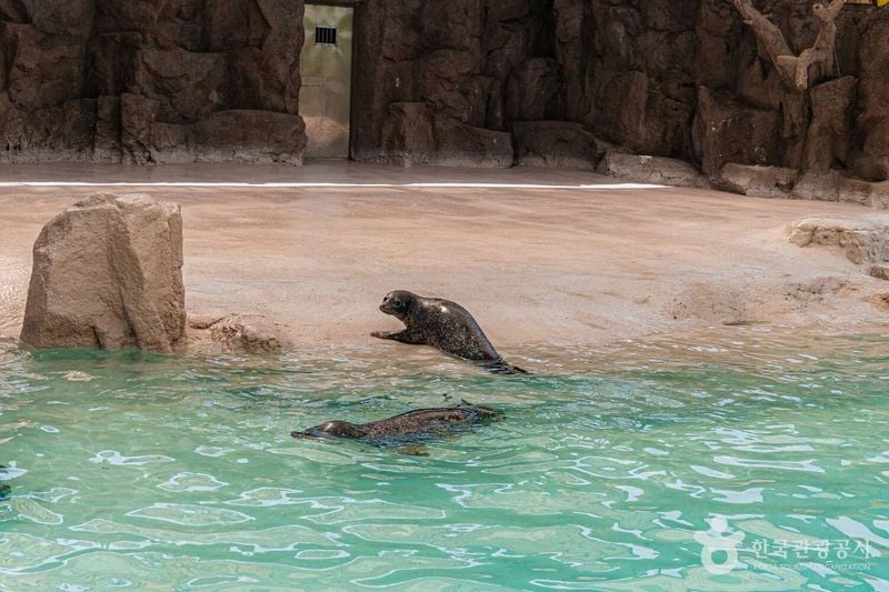 서울대공원 출처 : 한국관광공사 포토코리아