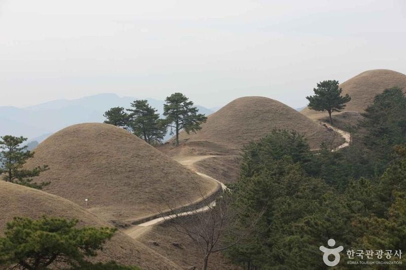 지산동고분군 출처 : 한국관광공사 포토코리아