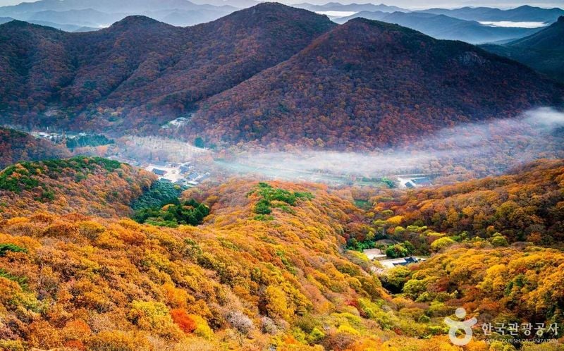 선운산 출처 : 한국관광공사 포토코리아