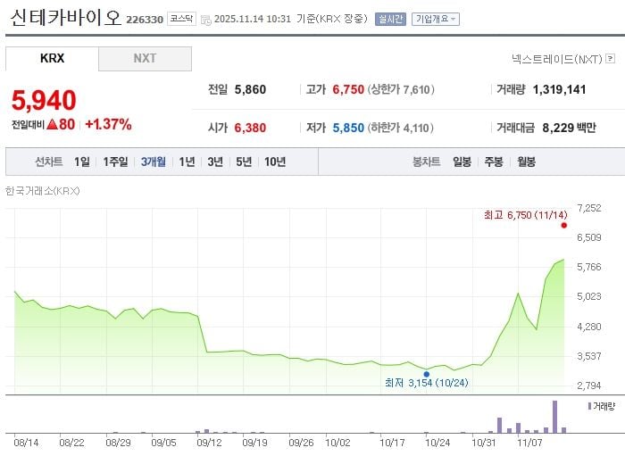 신테카바이오 / 네이버증권