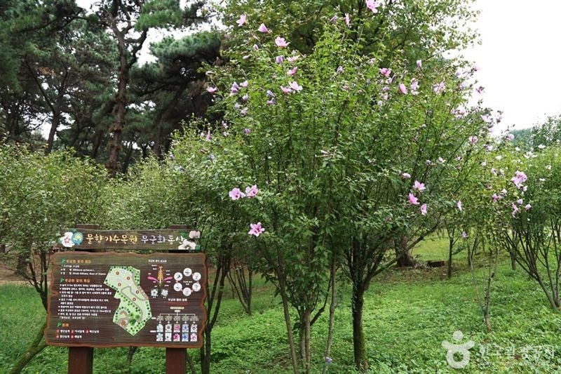 물향기수목원 출처 : 한국관광공사 포토코리아