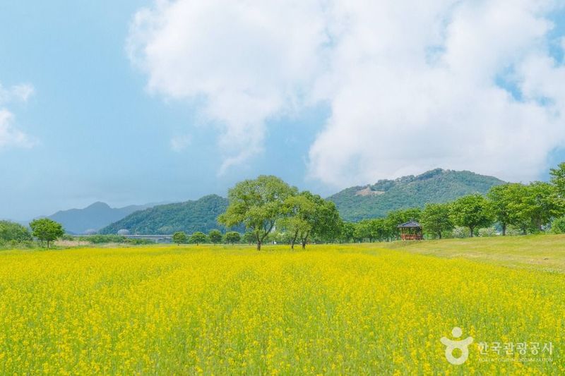 당남리섬 출처 : 한국관광공사 대한민국구석구석