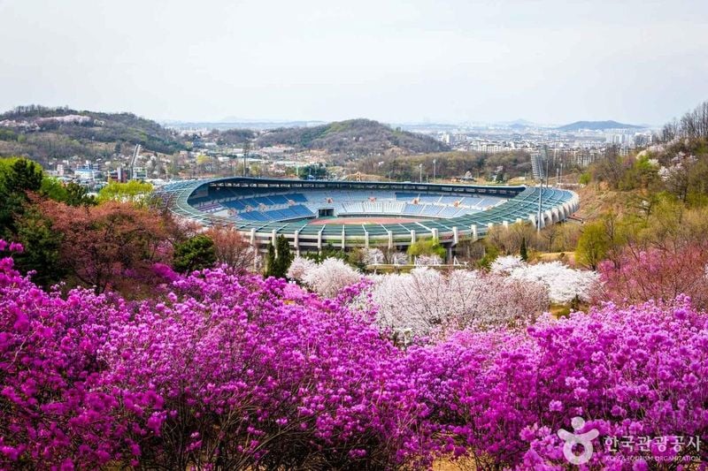 원미공원 출처 : 한국관광공사 포토코리아