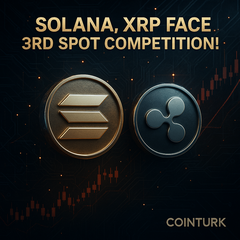 솔라나·리플 XRP 3위 경쟁 격화…전문투자자 포트폴리오 흐름이 방향 가를 전망