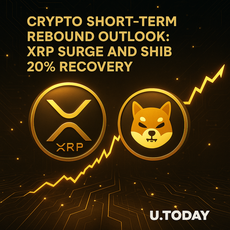 크립토 단기 반등 가능성…리플 XRP 급등·시바이누 20% 회복 전망