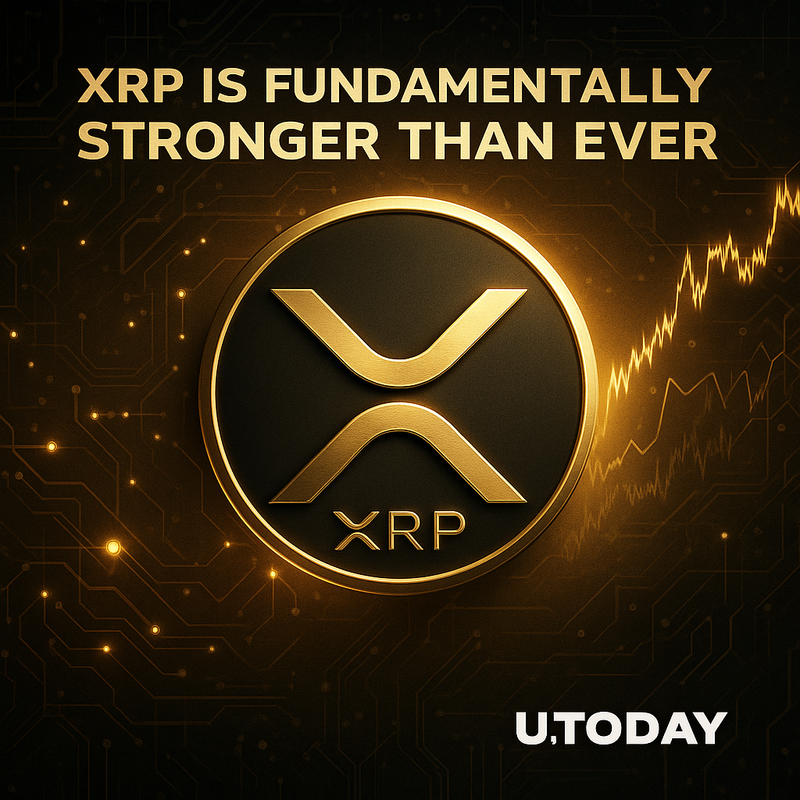 리플 XRP, 가격 부진에도 네트워크 지표 강화…반등 가능성 분석 담겨