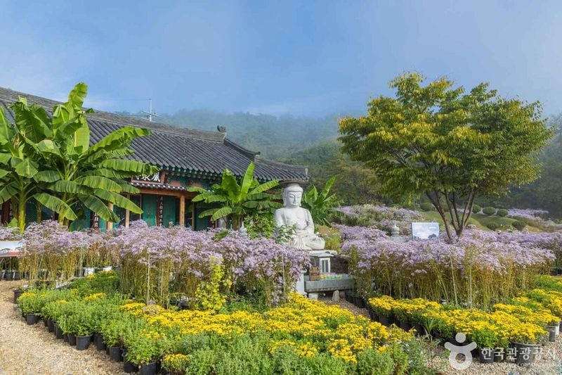 봉천사 출처 : 한국관광공사 포토코리아