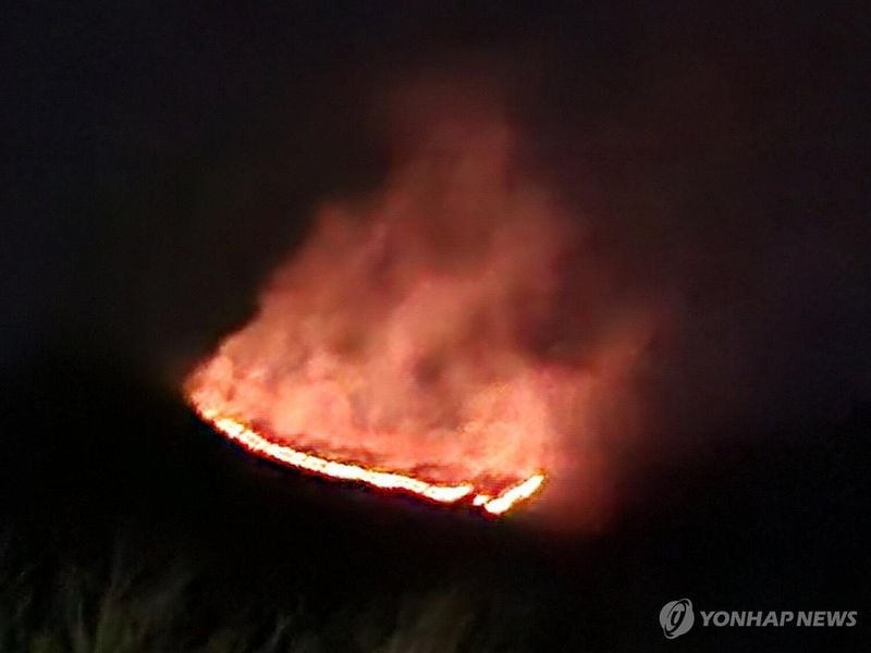 양양 서면 야산서 산불 확산…주민 대피 권고 / 연합뉴스