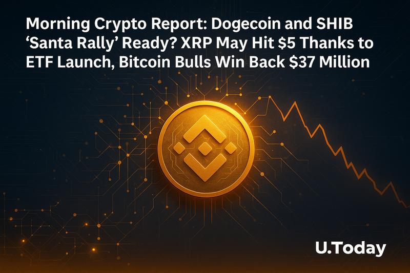 연말 랠리 기대 속 도지코인·시바이누 반등 조짐, 리플 XRP ETF 수요 주목
