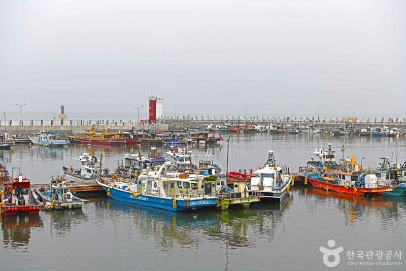 무창포항 출처 : 한국관광공사 포토코리아