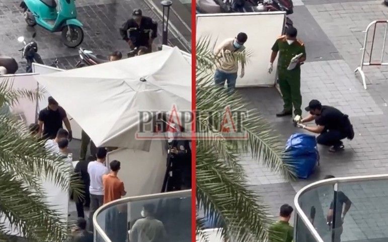 비엣바오 홈페이지 캡처. 베트남 법률신문 제공