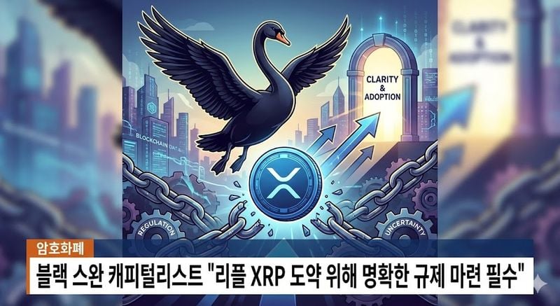 블랙 스완 캐피털리스트 "리플 XRP 도약 위해 명확한 규제 마련 필수"