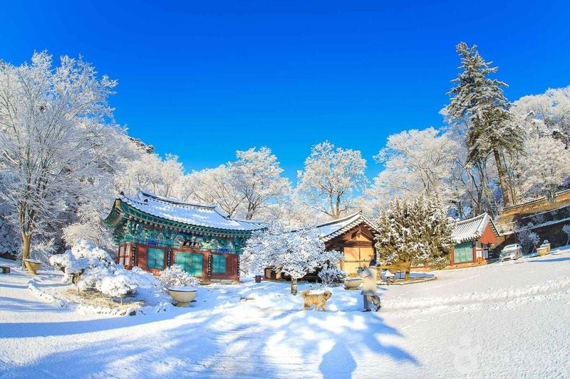 출처=한국관광공사 마곡사