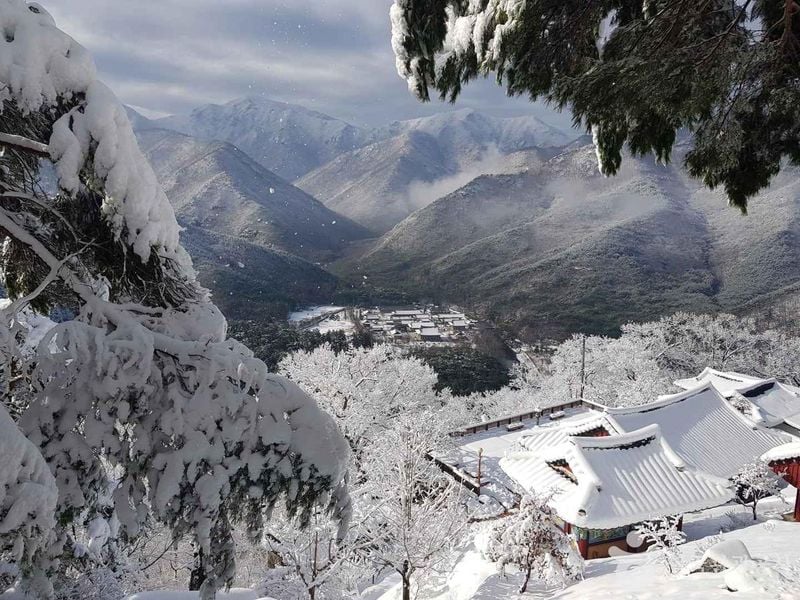 출처=한국관광공사 운문사